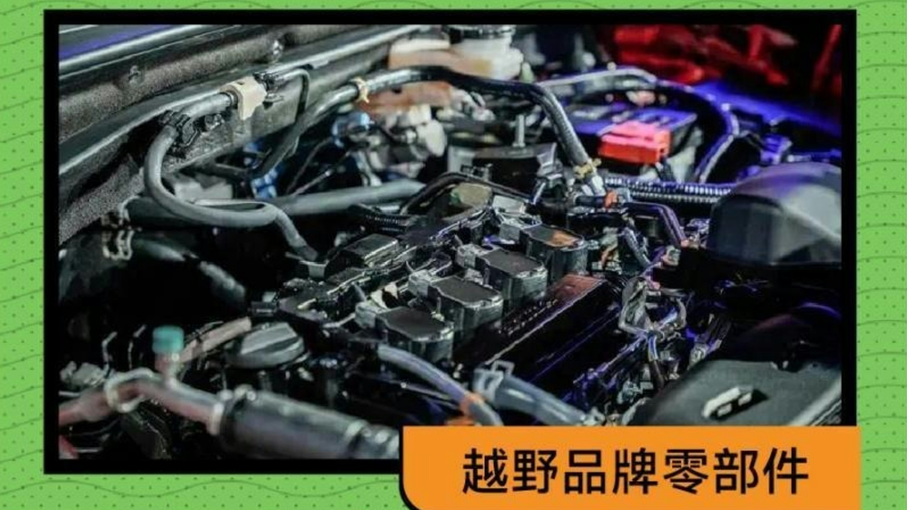 会展照片2.jpg 会展照片2.jpg